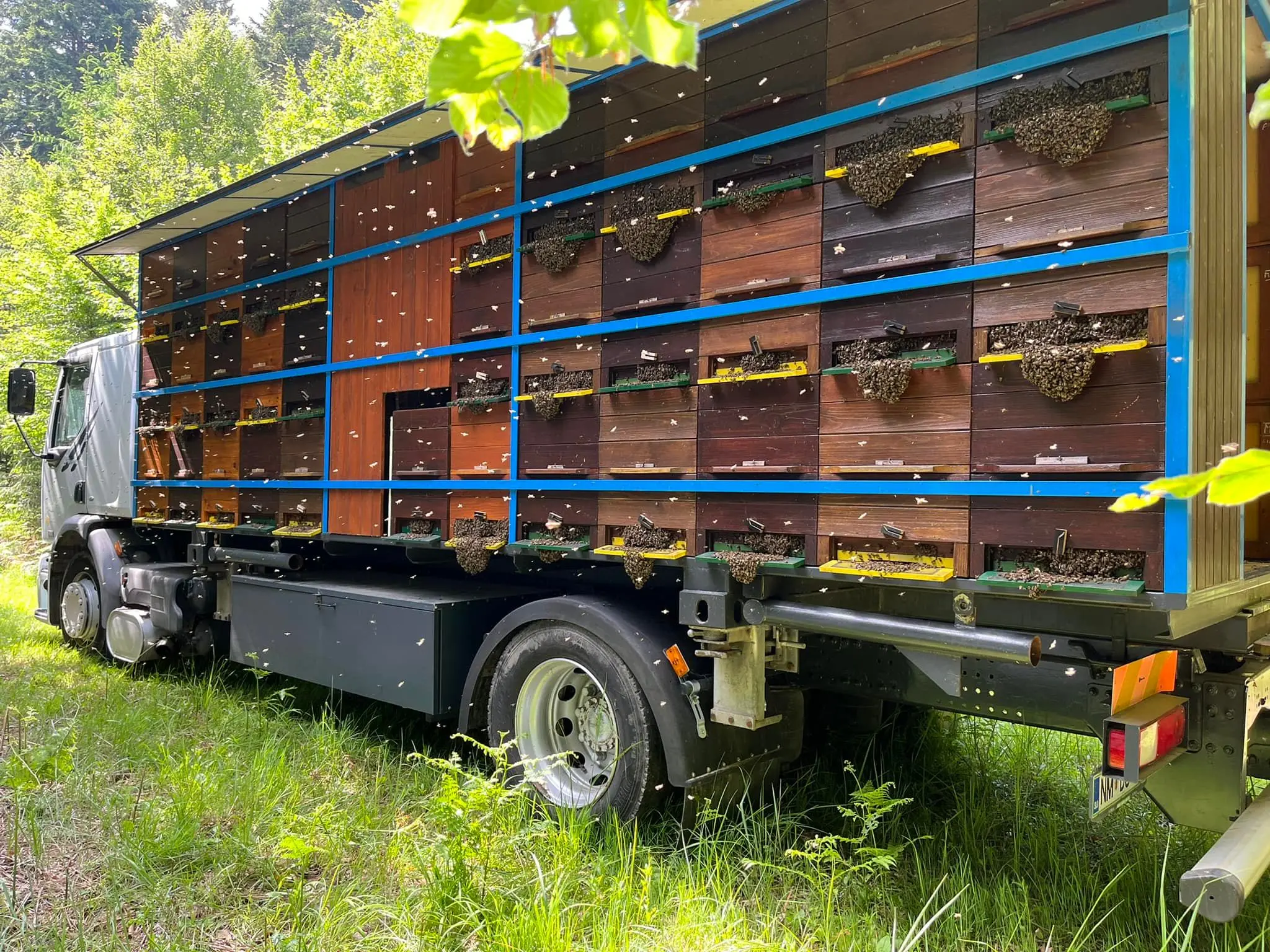 Prevozno čebelarstvo 11